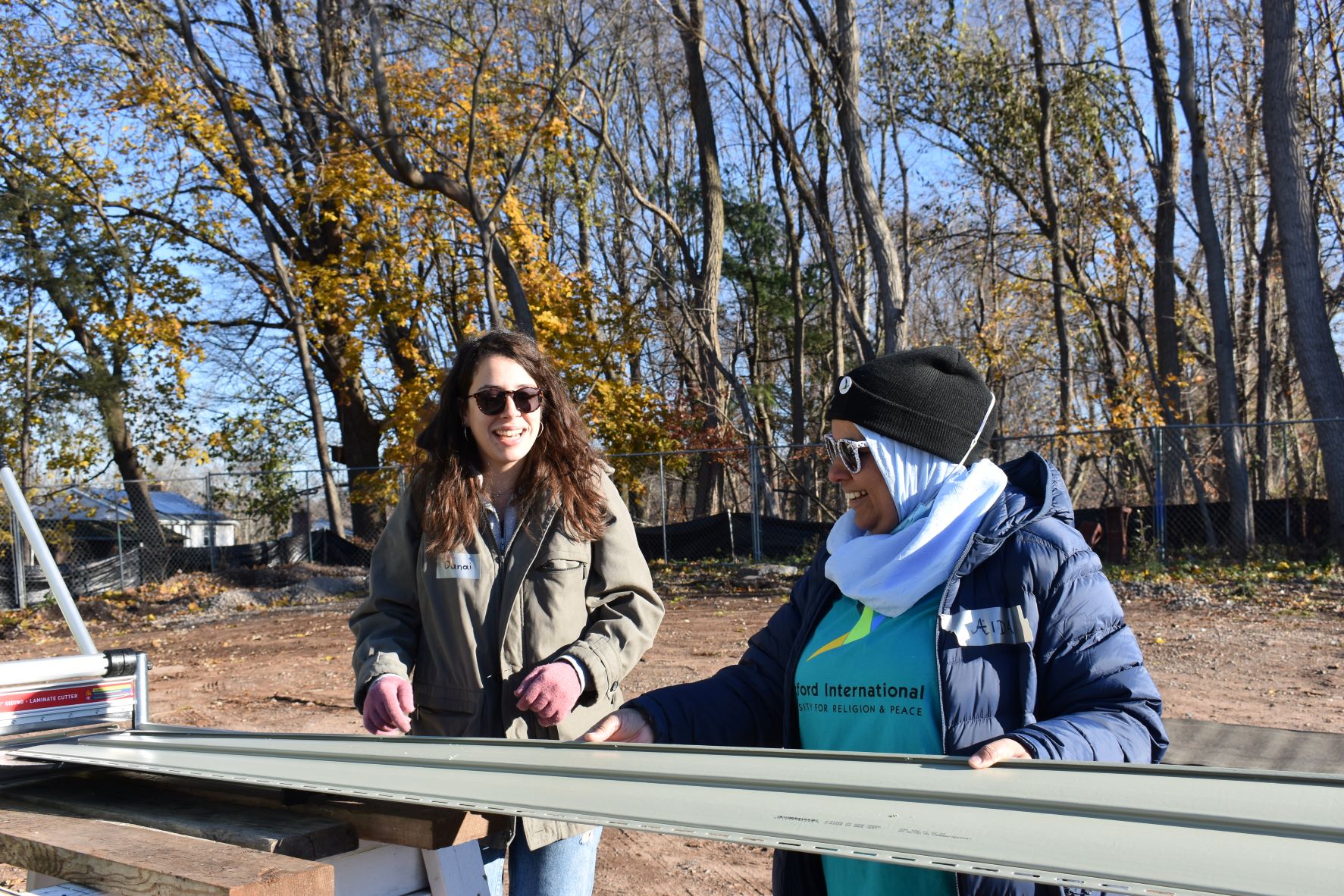 Danai and Aida cutting siding