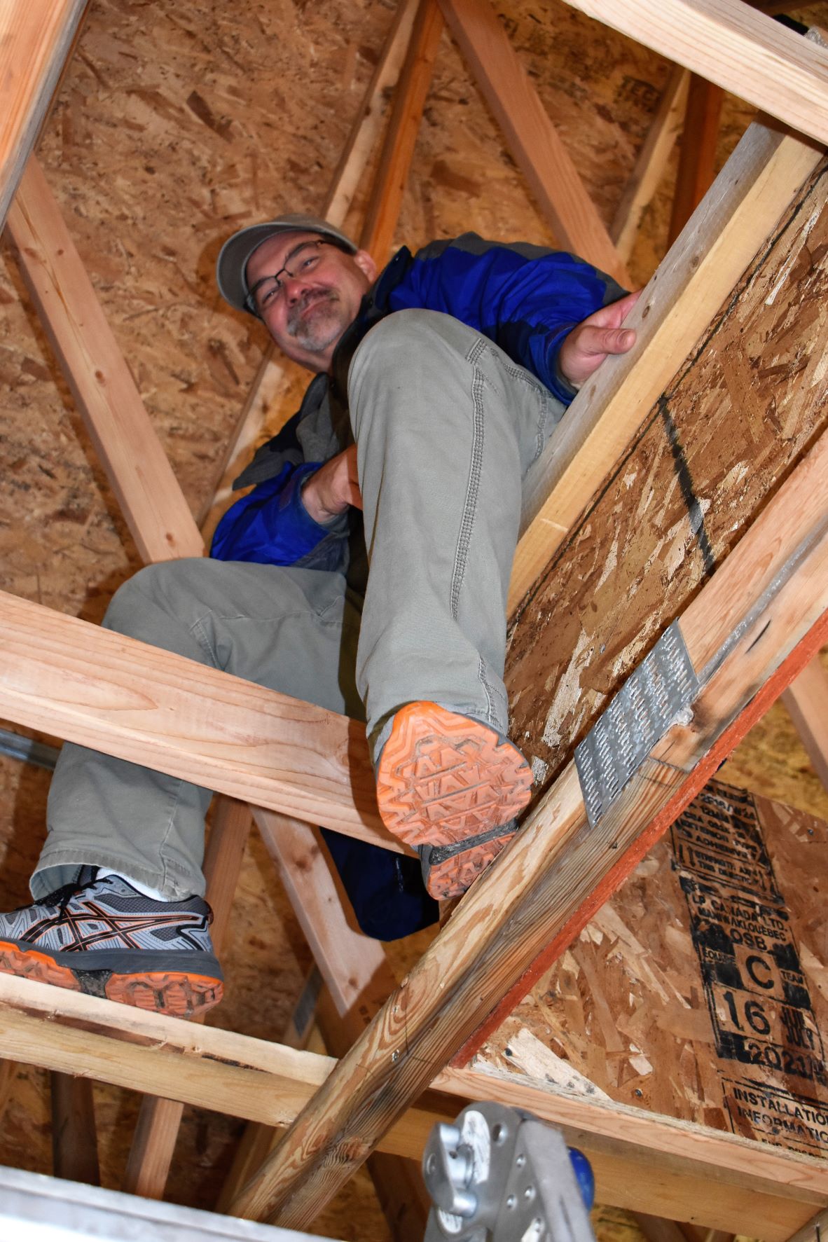 David in the rafters