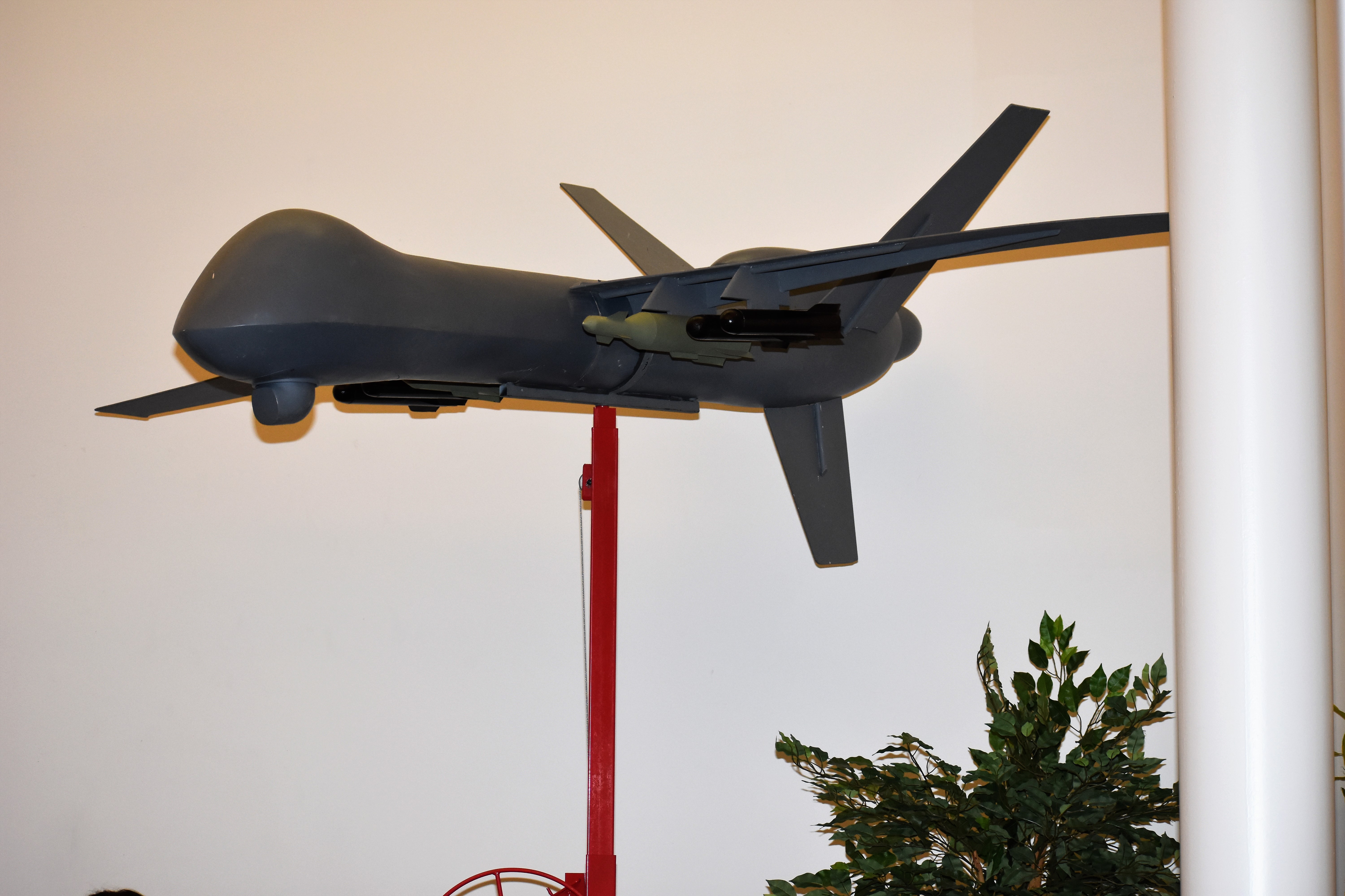 Drone