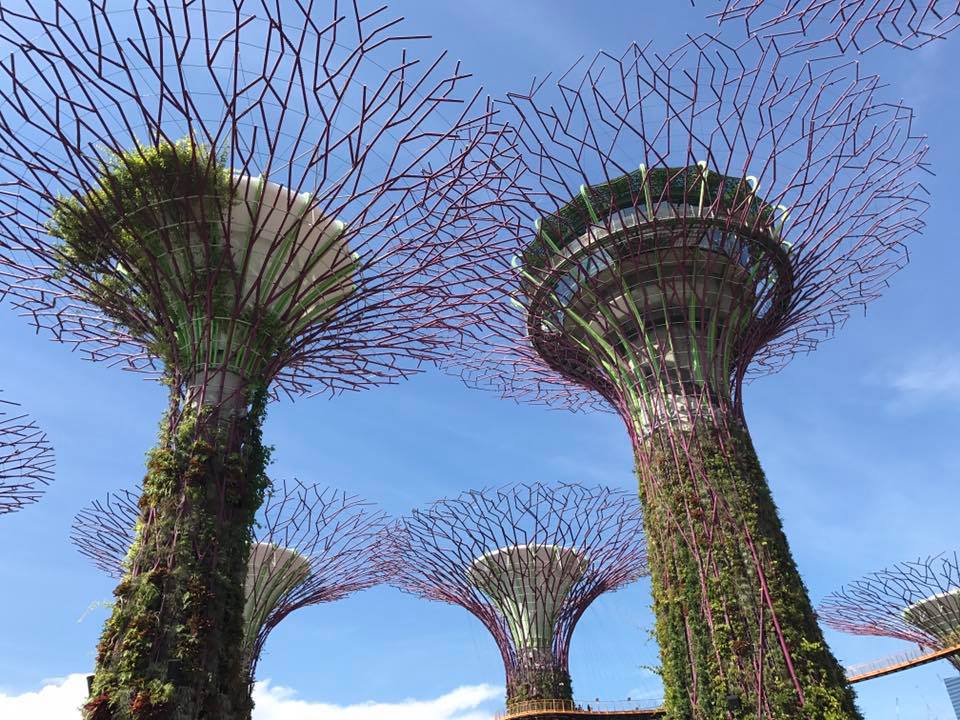 Singapore 2016