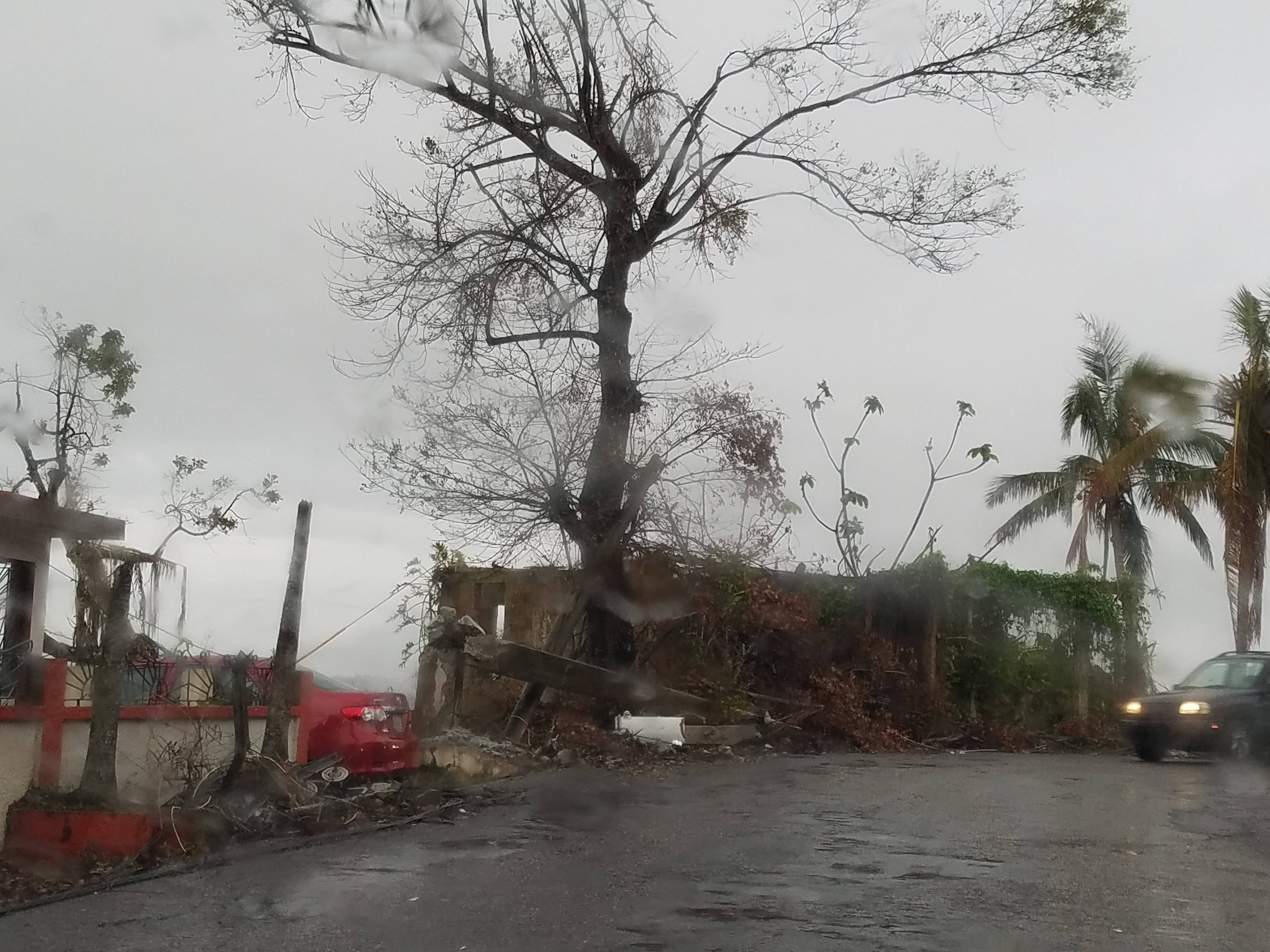 Mike-Corey-Puerto-Rico-6.jpeg