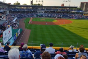 Yard Goats
