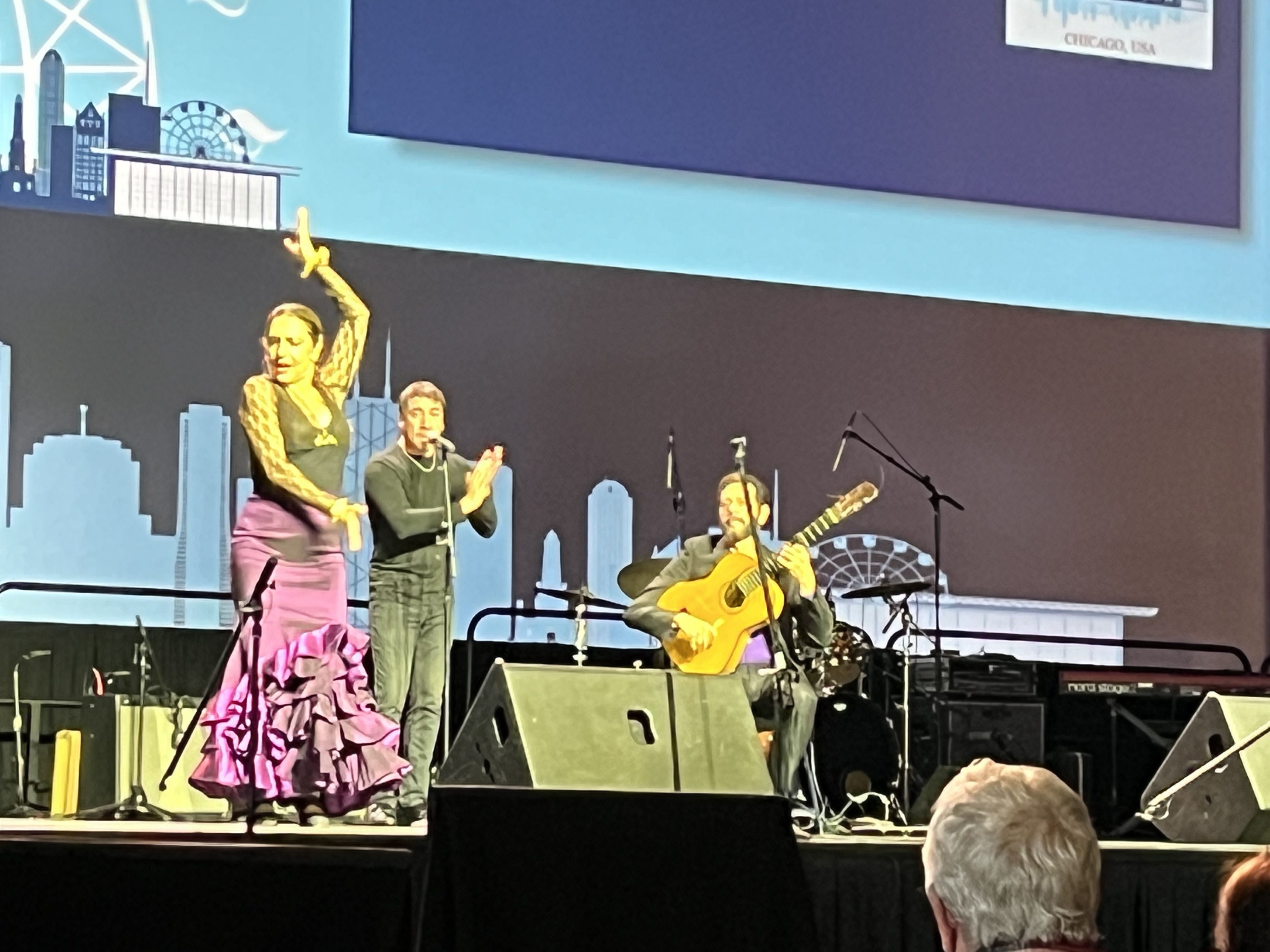 Flamenco dancer