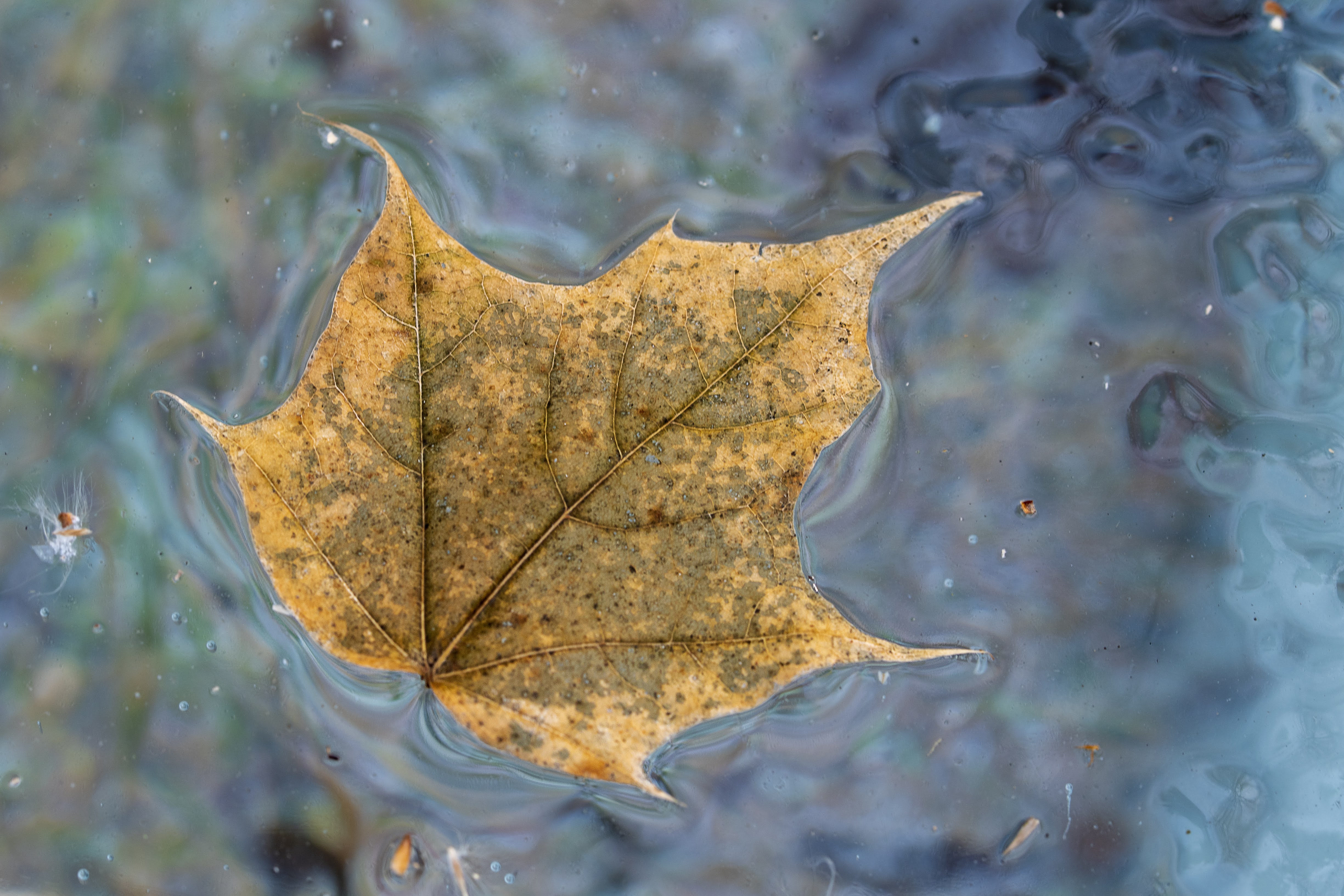 Spiritualities photo