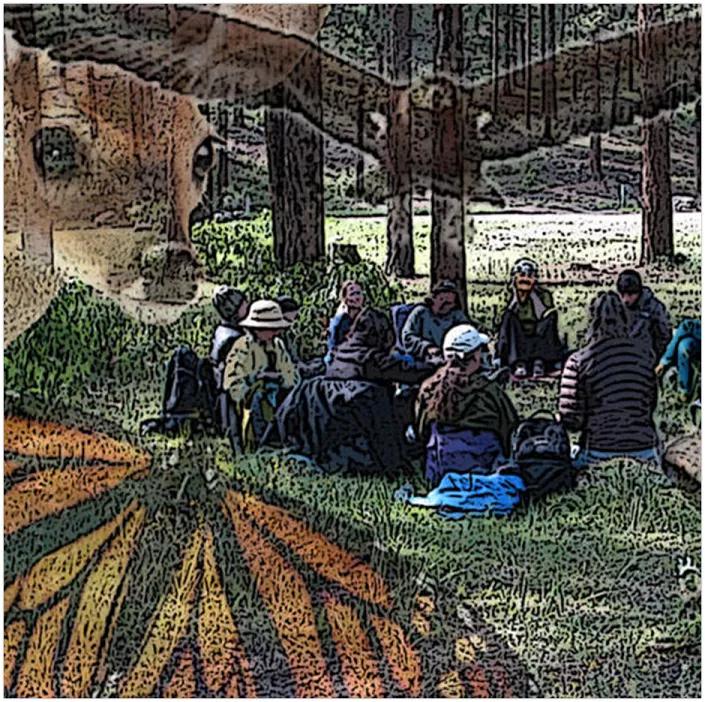 Wild Sanctuary image