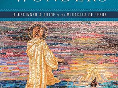 Signs and Wonders, A.J. Levine's new book.