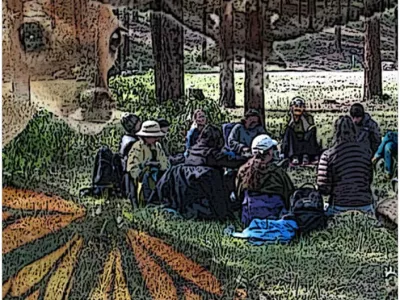 Wild Sanctuary image